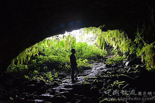 深圳报业地铁传媒有限公司喷绘材料（背喷灯片）采购项目招标公告
